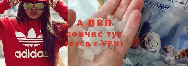 spice Абаза