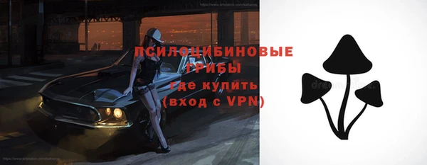 индика Абдулино